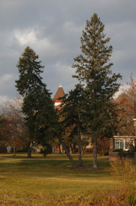 The NonTraditional Life: Suspicious death on campus