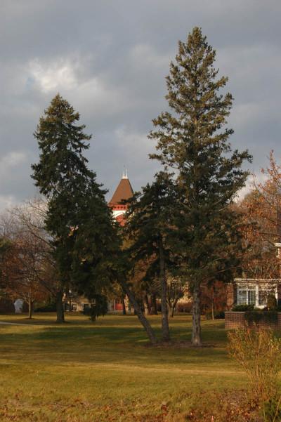 The NonTraditional Life: Suspicious death on campus