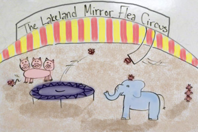 Intensive training program for Mirror Flea Circus